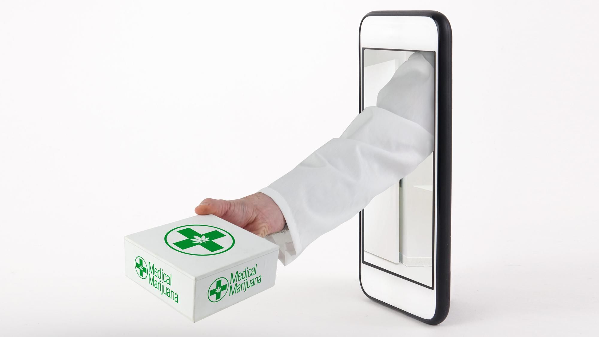 Florida Cannabis Licensing: Your Gateway to the Industry